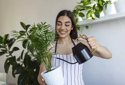 Они вас обязательно дождутся! Это надо сделать перед отпуском каждому цветоводу, который планирует длительный отпуск