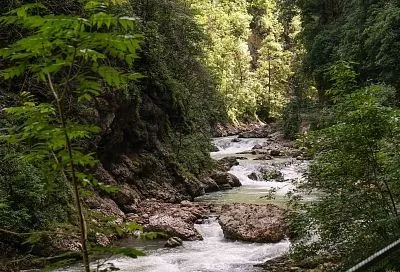 От Гуамки до Мезмая: уникальный маршрут для экотуристов
