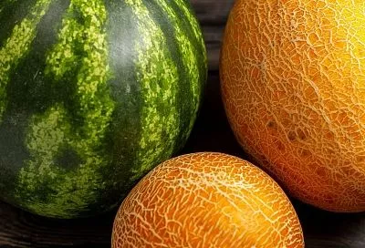 Арбузы и дыни подорожали на 26–31% за год