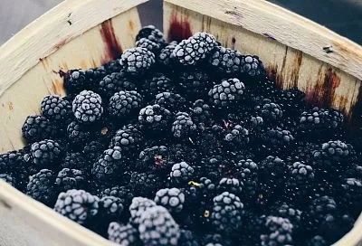 Муж привез из леса огромную корзину ежевики, и я ее всю за пару часов заготовила на зиму без лишних хлопот: три идеальных способа