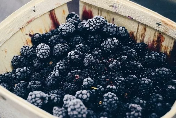 Муж привез из леса огромную корзину ежевики, и я ее всю за пару часов заготовила на зиму без лишних хлопот: три идеальных способа