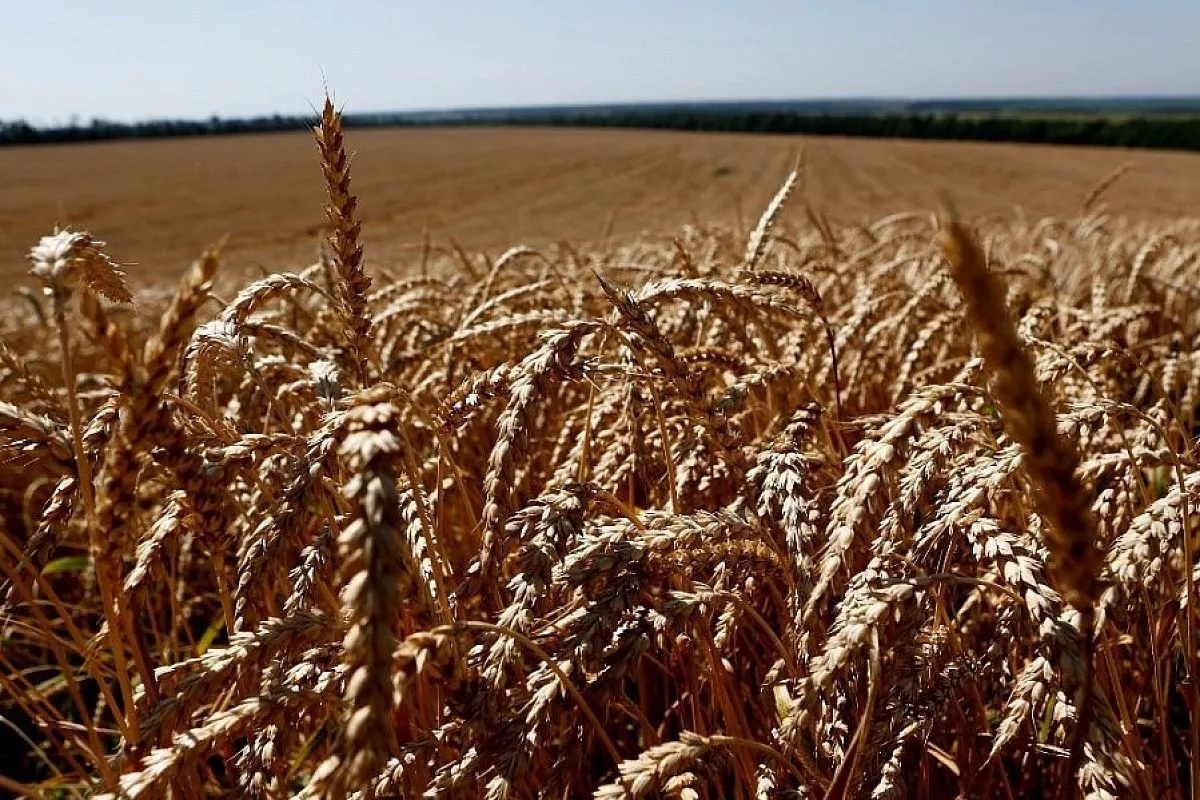 Начинающие фермеры Краснодарского края получат гранты на общую сумму более 65 млн рублей