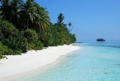 Таиланд закроет легендарный пляж Майя-Бэй на два месяца для спасения экосистемы