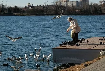 Синоптики рассказали, когда в Краснодарский край придет долгожданное потепление