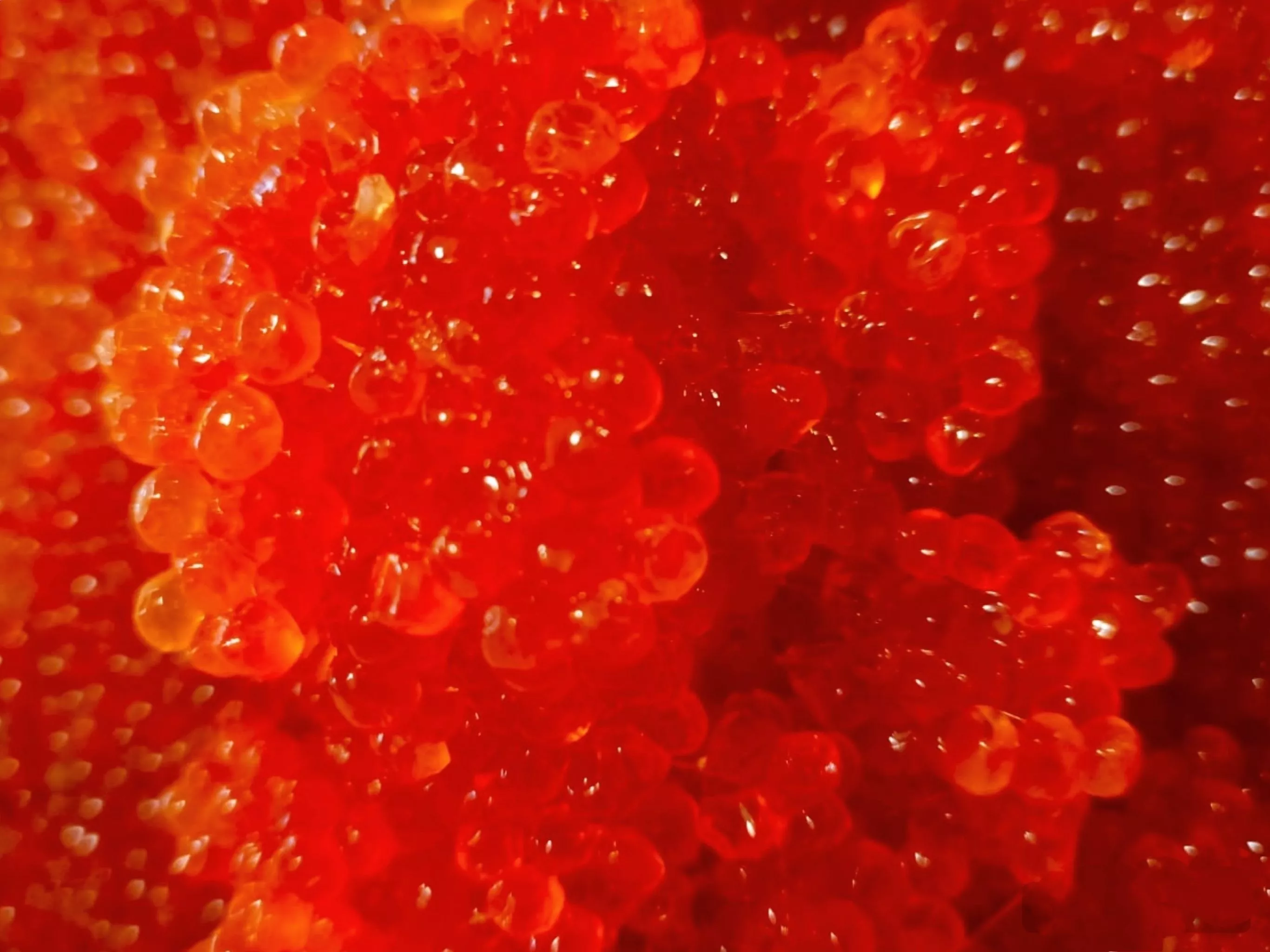 В Крыму к Новому году подешевела красная икра