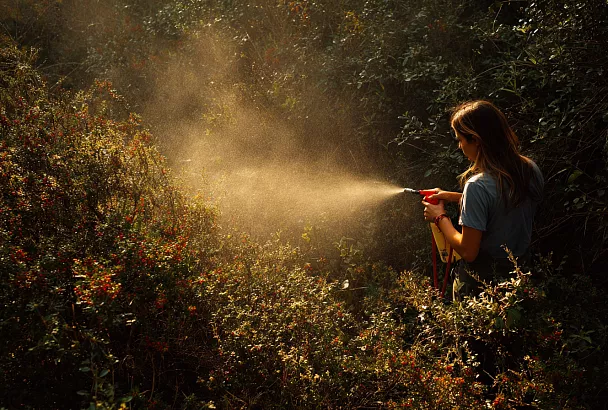 Никакой химии: как мыльно-масляная эмульсия избавляет от клещей, тли и трипсов