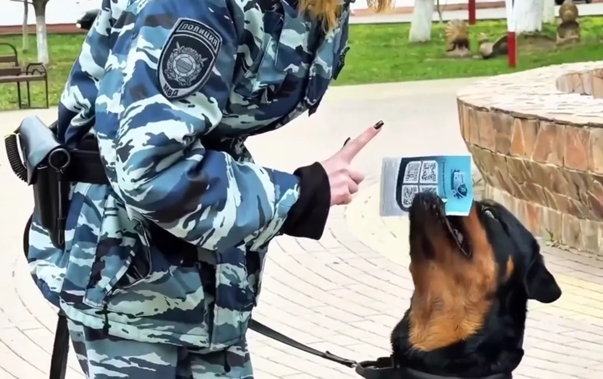 Полицейский пес Орион помог раздать памятки на улицах Новокубанска