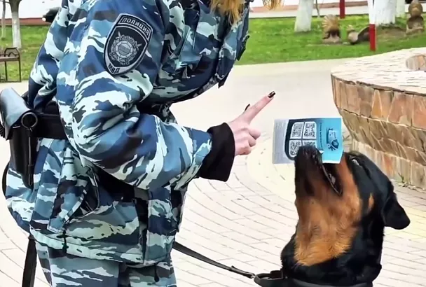 Полицейский пес Орион помог раздать памятки на улицах Новокубанска