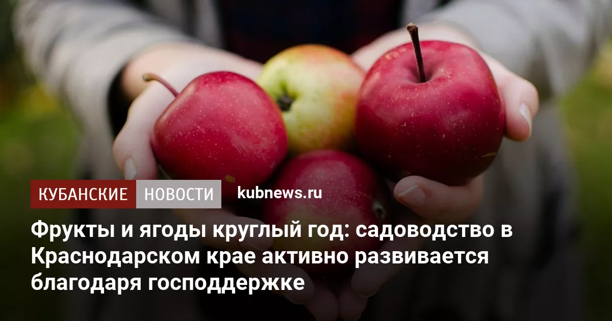 Фрукты и ягоды круглый год: садоводство в Краснодарском крае активно развивается благодаря господдержке
