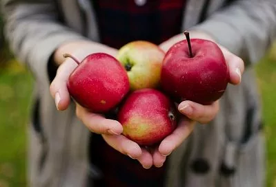 Фрукты и ягоды круглый год: садоводство в Краснодарском крае активно развивается благодаря господдержке