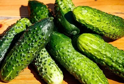 Огурцы без горечи за 3 шага: как вырастить сладкий урожай даже в кубанскую жару