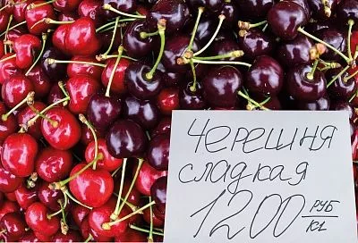 Несмешные цены: почему черешня для россиян стала «золотой»