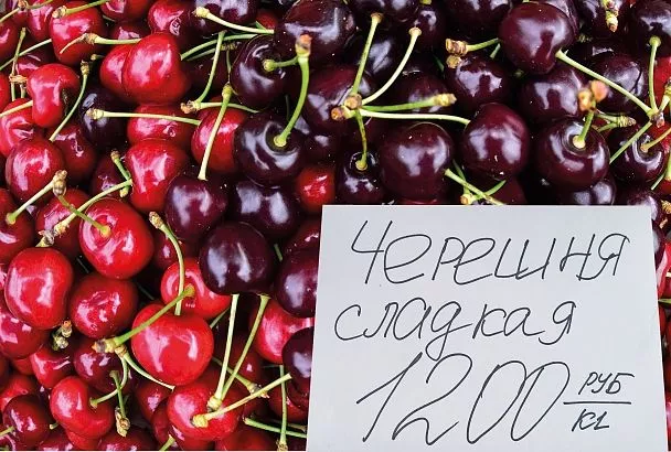 Несмешные цены: почему черешня для россиян стала «золотой»