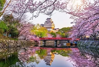 Самый дорогой тур на майские праздники обошёлся россиянам в 2,5 миллиона рублей