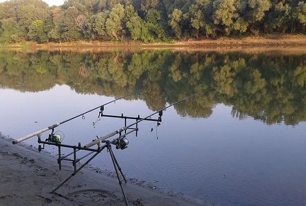 Обрезал бойлы для рыбалки так — и ловлю даже хитрого карпа: трофейный лайфхак 