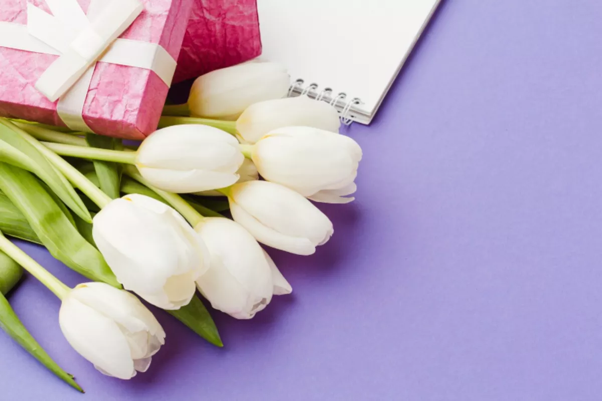 Власти Кубани выделили 7 млн рублей на празднование 8 Марта в 2026 году