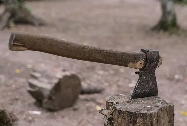 Мезмай и Сочи вошли в топ-10 популярных направлений для отдыха на базах в феврале