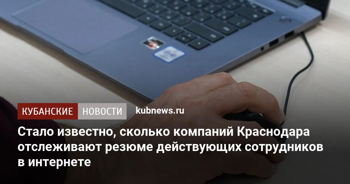 Стало известно, сколько компаний Краснодара отслеживают резюме действующих сотрудников в интернете