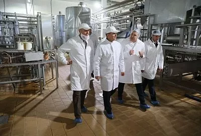 Производство сыров расширяют на заводе в Староминском районе