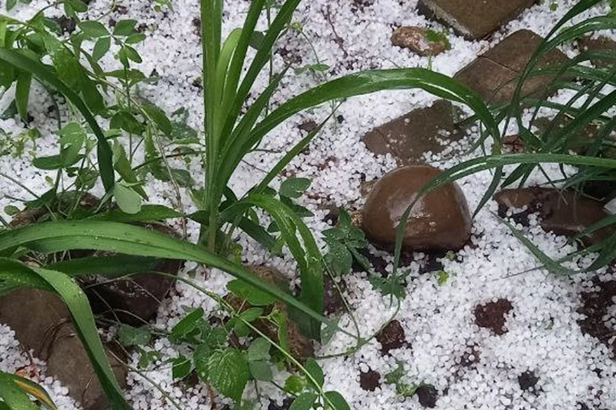 Лабинск 20 мая