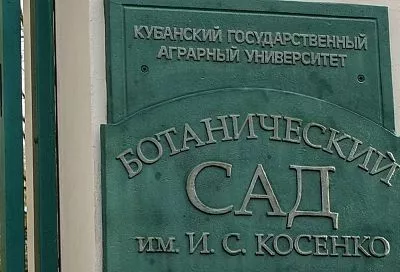 Ботанический сад в Краснодаре закрыли из-за непогоды