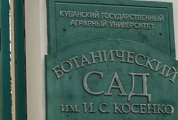 Ботанический сад в Краснодаре закрыли из-за непогоды
