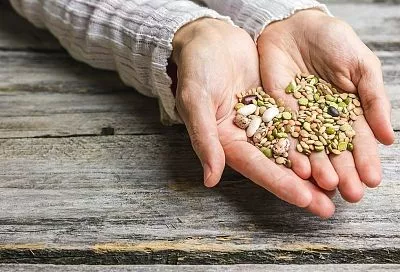 Храним семена в холодильнике и морозилке для идеальной всхожести: секреты садовода