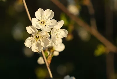 Тепло вернется: когда воздух в Краснодарском крае прогреется до +19 градусов