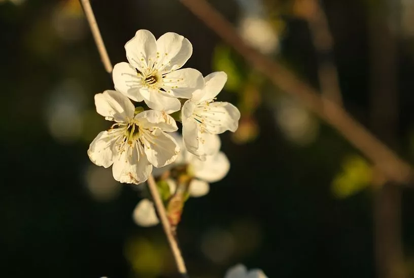 Тепло вернется: когда воздух в Краснодарском крае прогреется до +19 градусов