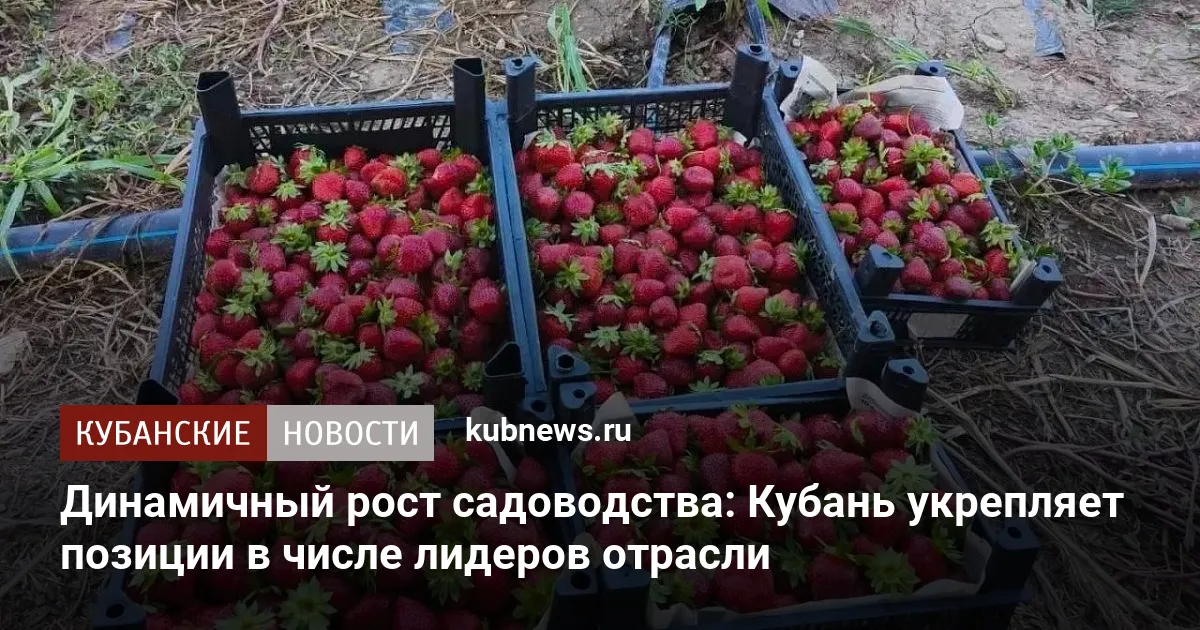 Динамичный рост садоводства: Кубань укрепляет позиции в числе лидеров отрасли