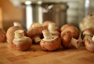  Заморозка грибов на зиму: сохраняем вкус и аромат до следующего сезона