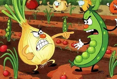 Соседские «разборки»: 5 пар растений, которые нельзя сажать рядом