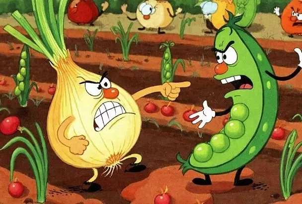 Соседские «разборки»: 5 пар растений, которые нельзя сажать рядом