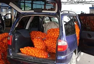 Более 5 тыс. тонн мандаринов ввезли в Россию из Абхазии через Сочи