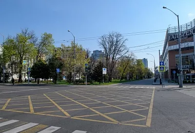 Мэрия Краснодара попросила горожан оставаться дома