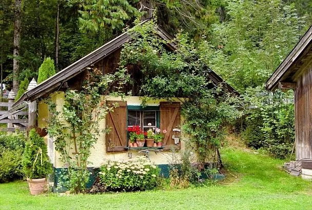 Дача преобразится за один сезон! Какие растения следует посадить на участке, чтобы он зазеленел за несколько теплых месяцев