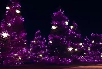 Новогоднюю иллюминацию начали разбирать в парке «Краснодар»