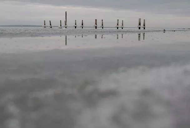 Ученые сообщили, чем грозит ледостав в Азовском море его обитателям