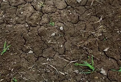 Самая обычная солома способна вернуть плодородие почвы