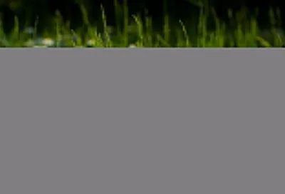 Народные приметы на сегодня – 22 апреля, что можно и нельзя делать в день Вадима Ключника