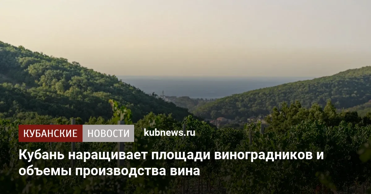 Кубань наращивает площади виноградников и объемы производства вина