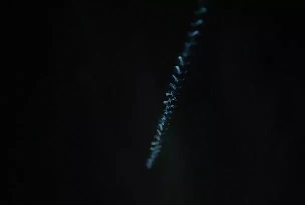 ВКС России сбили истребитель Су-27 воздушных сил Украины