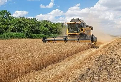 Жатва-2024: пройдена третья часть пути