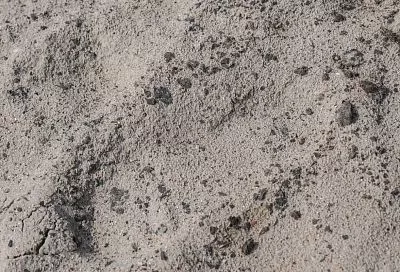 За неделю небольшие выбросы мазута обнаружили на одном участке пляжа Анапы