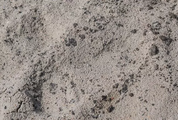 За неделю небольшие выбросы мазута обнаружили на одном участке пляжа Анапы