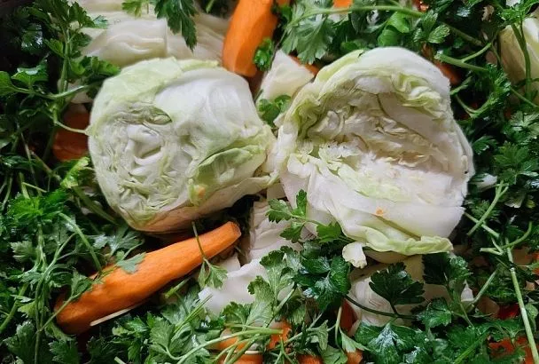 Капуста по-грузински: этому рецепту меня научили родственники из Тбилиси