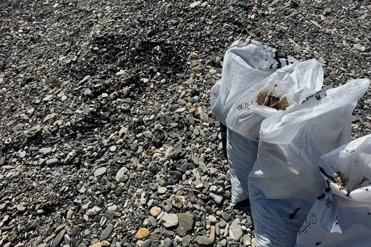 Более 7 тыс. кубометров загрязненного грунта и водомазутной смеси собрали в Туапсе