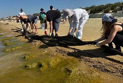 Новые выбросы мазута на пляжах Анапы не обнаружены