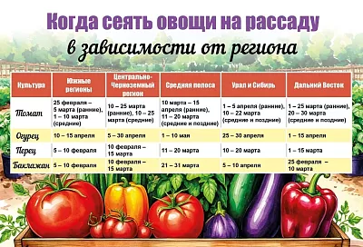 Точный расчет: почему сроки посева определяют ваш урожай