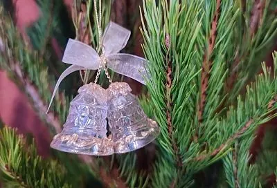 Елочные базары открылись в Краснодаре: где они находятся